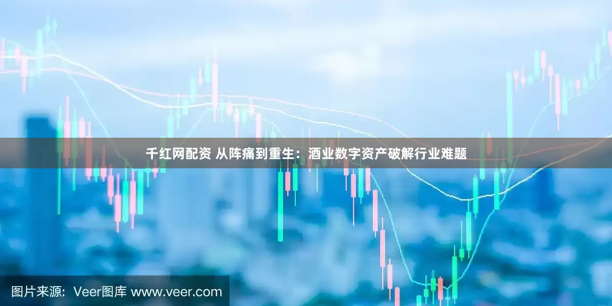 千红网配资 从阵痛到重生：酒业数字资产破解行业难题